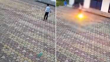 Maymunu kovmaya çalışırken canından oldu