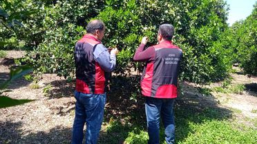 Kozan'da Çevre Dostu Tarım Eğitimi