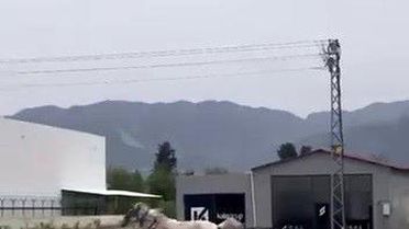 Hatay'da Trafikte Kaçan At Arabası