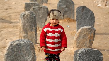 Roberts-Smith Kefaletle Serbest