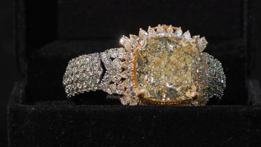 Kaçak 80 Karat Pırlanta İstanbul'da Sergilendi