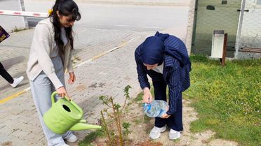 Dumlupınar Üniversitesi'nde Gül Fidanı Dikimi