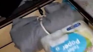 Kars'ta Firari Suçlu Baza Altında Yakalandı