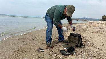 Kuşadası'nda İki Ölü Deniz Kaplumbağası Bulundu