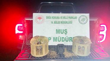 Keklik Avında Suçüstü: 65 Bin TL Ceza