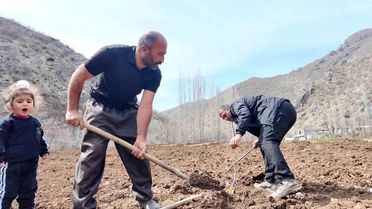 Şırnak'ta Çiftçiye Devlet Desteği