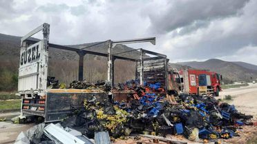 Tokat'ta çilek yüklü kamyon yandı