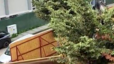 Üsküdar Belediyesi'nin ruhsat verdiği inşaat alanında ağaçlar kesildi