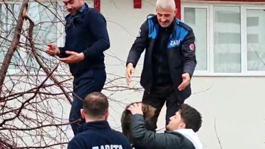 Ağaçta mahsur kalan kediye zabıtadan kurtarma operasyonu