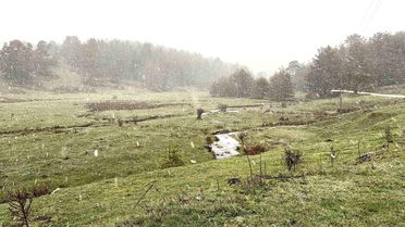 Bolu'da Kar Yağışı Başladı