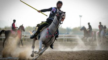 Turnuvada facia! İki at çarpıştı, sporcu yaşam mücadelesi veriyor