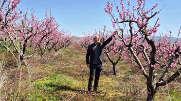 Elazığ'da Meyve Üretimi İçin Entegre Mücadele
