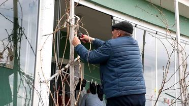 Yozgat'ta Üzüm Üreticileri Umutlu