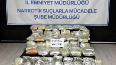 Hakkari'de 64,5 kg Skunk Ele Geçirildi