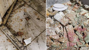 Bunları insanlara yedireceklerdi! Eve giren zabıta gözlerine inanamadı