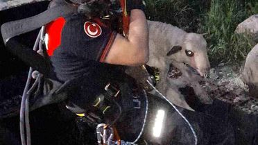 İzmir'de kuyuya düşen kuzuya itfaiyeden nefes kesen kurtarma