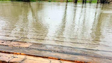 Zamantı Irmağı Taşarak Alanları Su Bastı