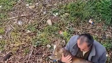 Görele'de Yaralı Karaca Kurtarıldı