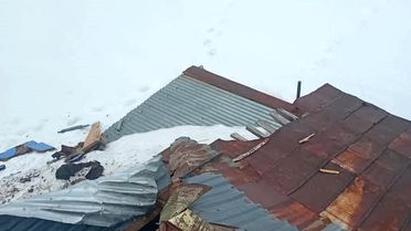 Yayla Evine Ayı Saldırısı