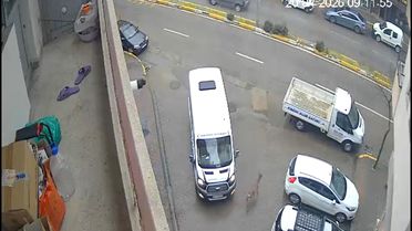 Giresun'da Karaca Paniğe Neden Oldu