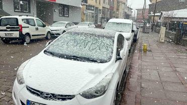 Bingöl'de Nisan Karı Şaşkınlık Yarattı