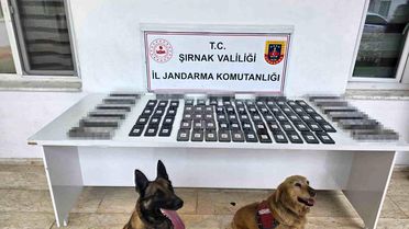 Şırnak'ta Kaçakçılığa Büyük Darbe