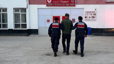Kaman'da Köpeği Vuran Kişi Tutuklandı