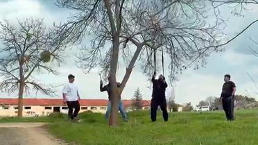 Eskişehir'de 'mangal için ağaç dalını kırmaya çalıştılar' iddiası