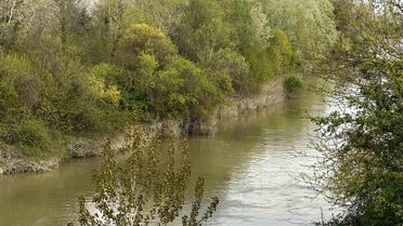 Sakarya Nehri'nde kaybolan çocuk aranıyor