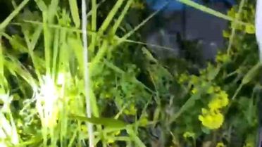 Birecik'te 2 Çocuk Kayalıklarda Mahsur Kaldı