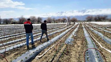 Erzincan'da 100 Bin Fide Toprakla Buluştu