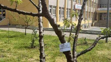 Edirne'de Fidan Dikimiyle Anma Töreni