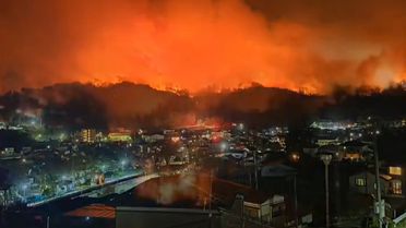 Japonya'nın Iwate eyaletinde orman yangını