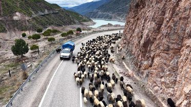 Artvin'de Yayla Göçü Zorlu Başladı