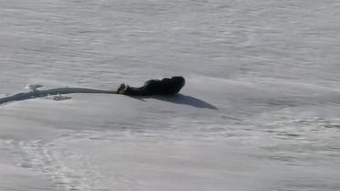 Suşehri Dağcıları Kösedağ'da Kayak Keyfi