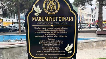 'Masumiyet Çınarları' kaybedilen canların hatırası için dikildi