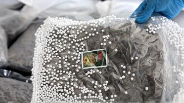Türkiye ve Suriye'den ortak operasyon! Değeri tam 300 milyon TL