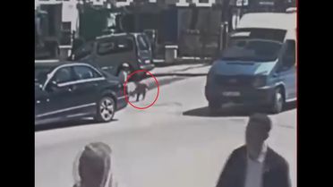 Ankara'da kamyonetin çarptığı Yakup Can, dedesinin elinden kaçmış