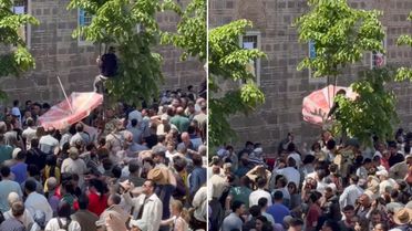 Mesir macunlarını yakalayabilmek için dondurma şemsiyesi açtı