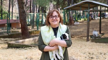 Türkiye’de doğan ilk zürafa yavrusu Gaziantep’te görücüye çıktı