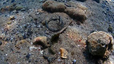 Büyükşehir'den Yat Limanı'nda deniz dip temizliği