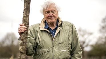 David Attenborough: Doğanın Sesini Duyuran İsim