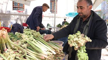 Yılda bir kez çıkıyor, binbir derde şifa oluyor