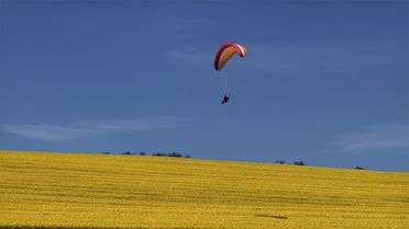 Sarı renge bürünen kanola tarlası üzerinde paramotorla uçtu
