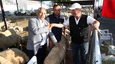 Talas'ta Kurban Pazarı başvuru tarihi belli oldu