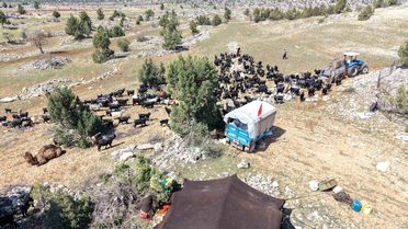 Sarıkeçili Yörükleri Yayla Göçüne Başladı