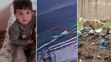 5 yaşındaki Hamza'nın can verdiği köpek dehşetinin görüntüleri ortaya çıktı