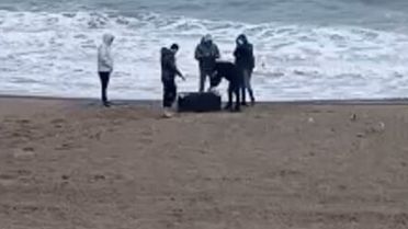 Sakarya'da sahile vuran çantadan 21,5 kg uyuşturucu çıktı