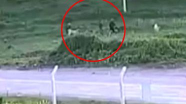 Baba ve oğlunun köpeklerine öfkelenip komşularını darbettiği anlar kamerada