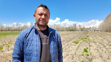 Erciş'te Çiftçilerin Yaban Domuzu Nöbeti